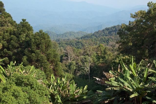 Doi Suthep–Pui National Park